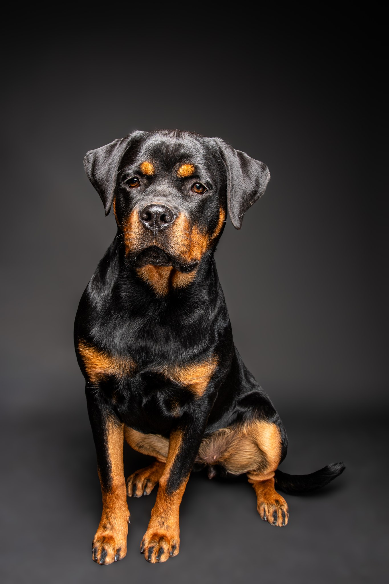 Odin
