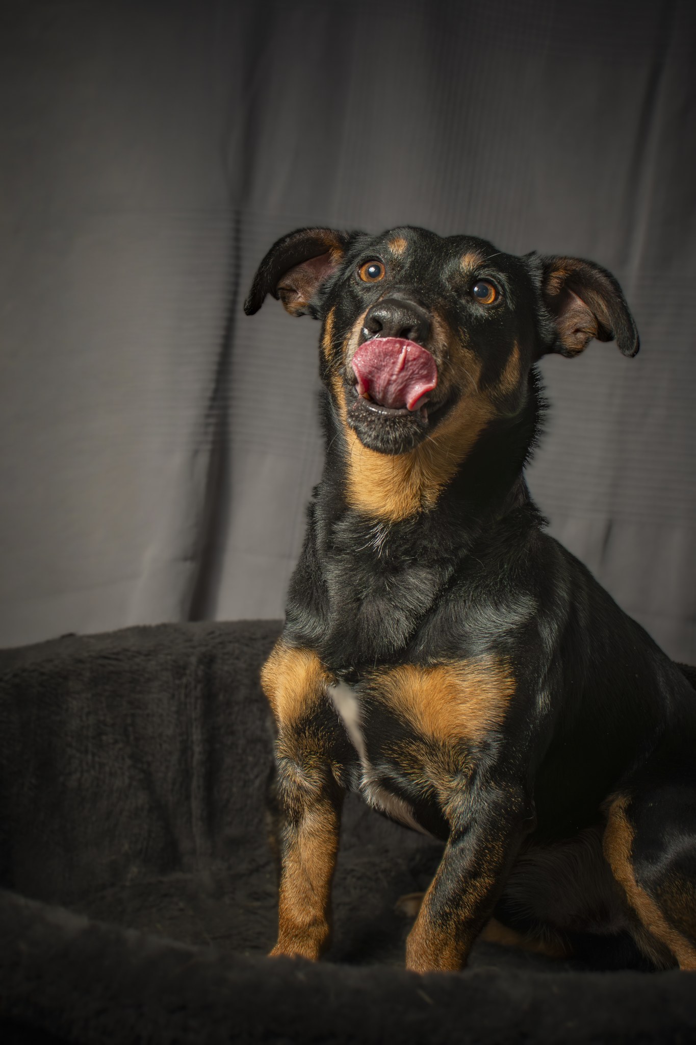 Ben