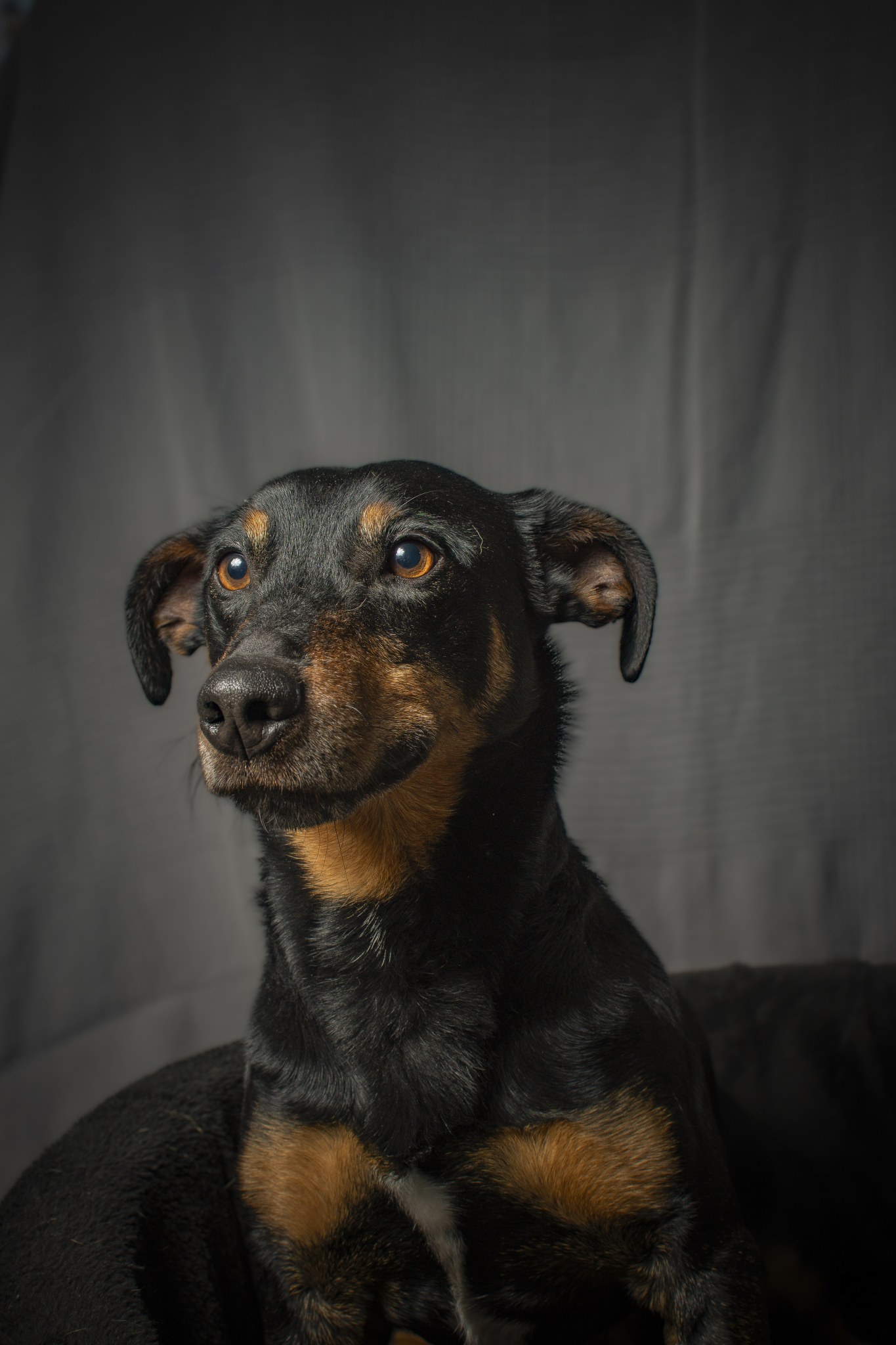 Ben