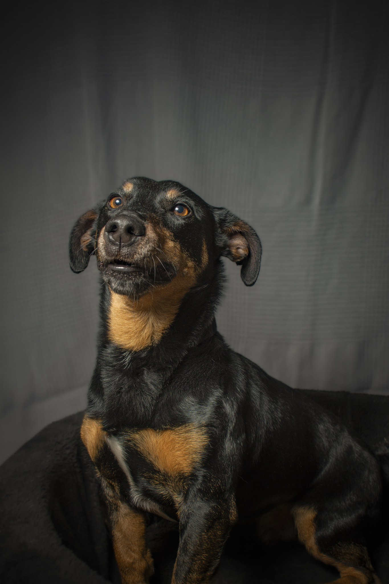 Ben