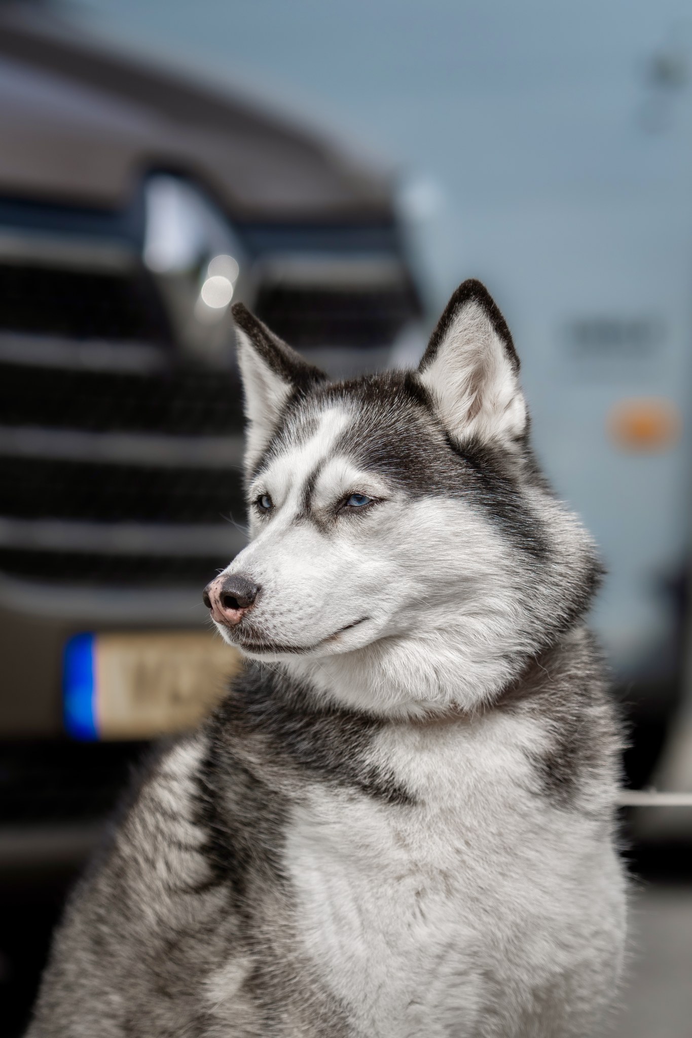 Luna