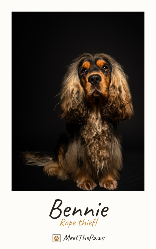 Bennie